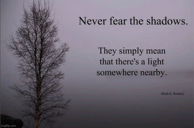 Never Fear The Shadows | image tagged in light,shadows,always has been among us,submit,seek,pleasure | made w/ Imgflip meme maker