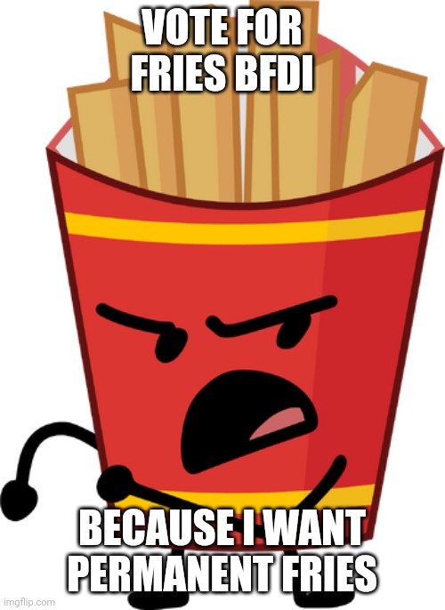 Bfdia 16 video: vote for fries | VOTE FOR FRIES BFDI; BECAUSE I WANT PERMANENT FRIES | image tagged in bfdi fries | made w/ Imgflip meme maker