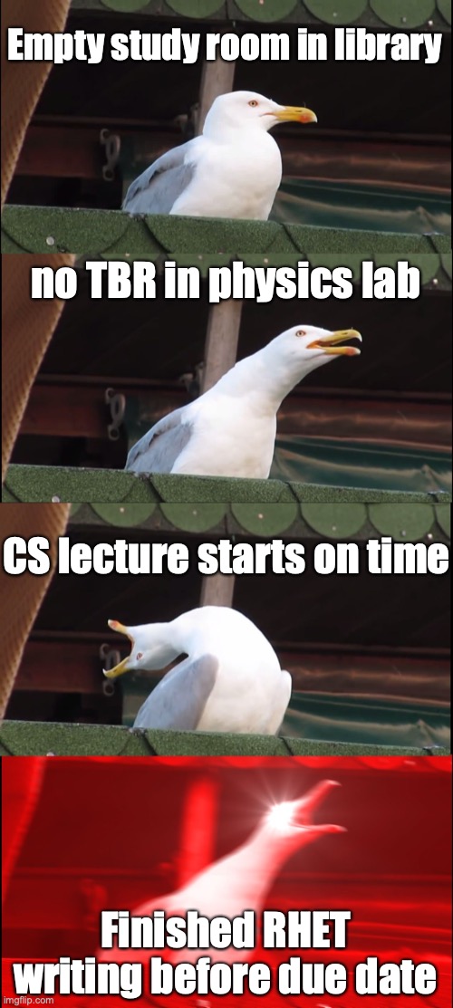 Miracles of college | Empty study room in library; no TBR in physics lab; CS lecture starts on time; Finished RHET writing before due date | image tagged in memes,inhaling seagull | made w/ Imgflip meme maker