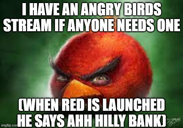 angy bidrs | I HAVE AN ANGRY BIRDS STREAM IF ANYONE NEEDS ONE; (WHEN RED IS LAUNCHED HE SAYS AHH HILLY BANK) | image tagged in realistic red angry birds | made w/ Imgflip meme maker