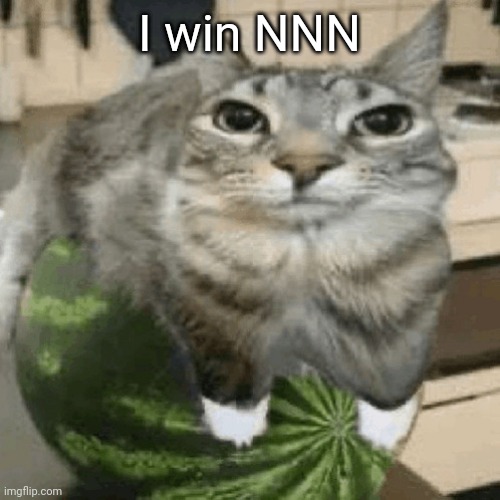 YAY | I win NNN | image tagged in cat on melon | made w/ Imgflip meme maker