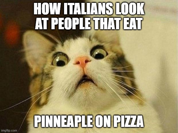 Noooooooo | HOW ITALIANS LOOK AT PEOPLE THAT EAT; PINNEAPLE ON PIZZA | image tagged in memes,scared cat | made w/ Imgflip meme maker