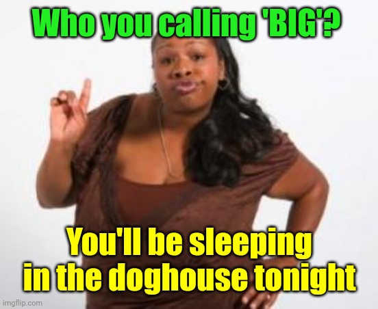 Angry Black Woman | Who you calling 'BIG'? You'll be sleeping in the doghouse tonight | image tagged in angry black woman | made w/ Imgflip meme maker