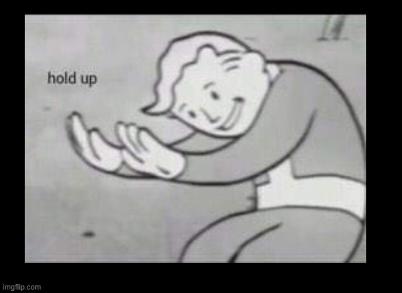 Fallout Hold Up | image tagged in fallout hold up | made w/ Imgflip meme maker