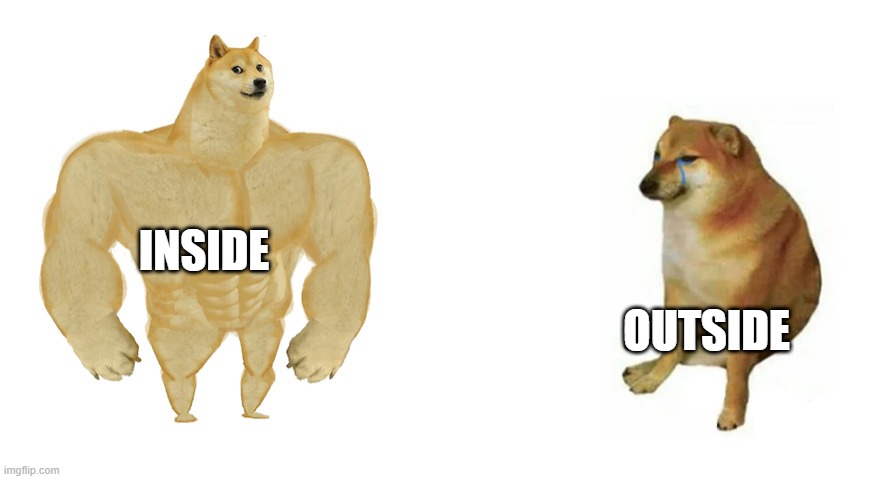 Buff Doge vs Crying Cheems | INSIDE; OUTSIDE | image tagged in buff doge vs crying cheems | made w/ Imgflip meme maker