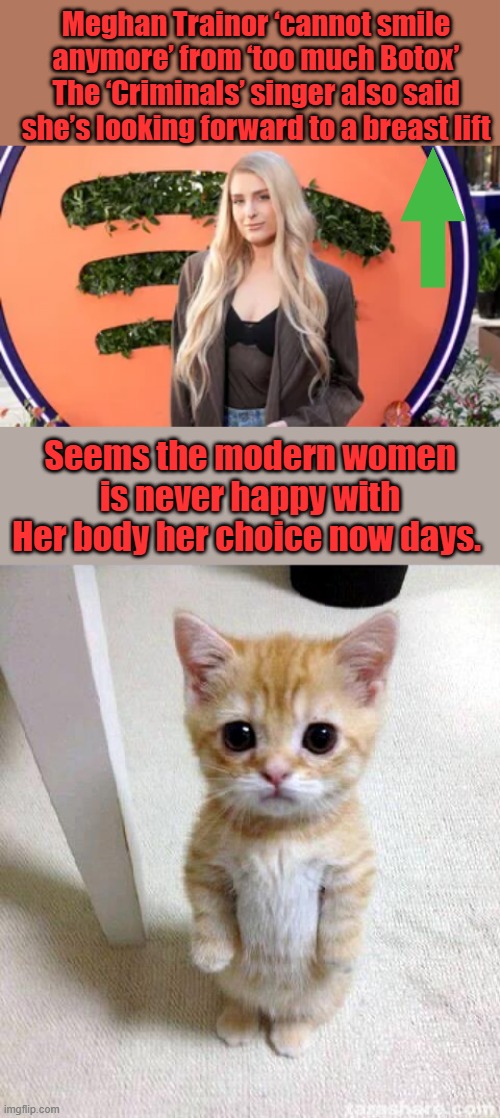 Feminism sure freed um up to mutilate themselves, the new fat drug is giving um paralized stomachs | Meghan Trainor ‘cannot smile anymore’ from ‘too much Botox’
The ‘Criminals’ singer also said she’s looking forward to a breast lift; Seems the modern women is never happy with Her body her choice now days. | image tagged in memes,cute cat | made w/ Imgflip meme maker