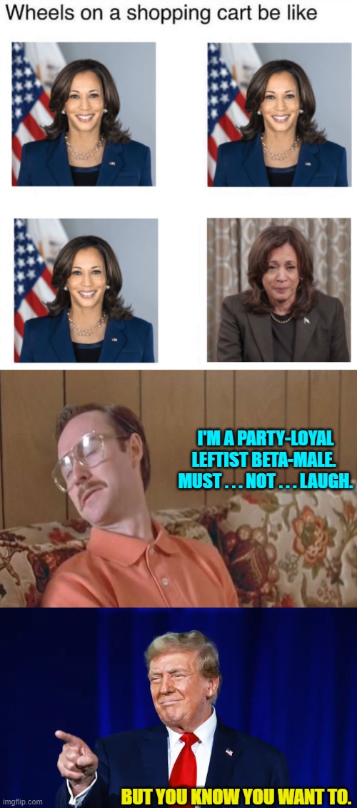 Go ahead leftist beta-males remove the shackles of your Party. | I'M A PARTY-LOYAL LEFTIST BETA-MALE.  MUST . . . NOT . . . LAUGH. BUT YOU KNOW YOU WANT TO. | image tagged in yep | made w/ Imgflip meme maker