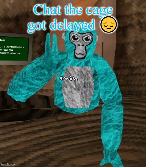 2025 now | Chat the cage got delayed 😔 | image tagged in monkey | made w/ Imgflip meme maker