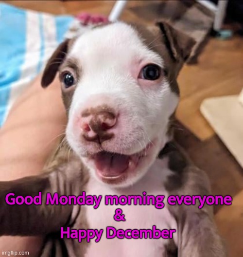 monday | Good Monday morning everyone; &
Happy December | made w/ Imgflip meme maker