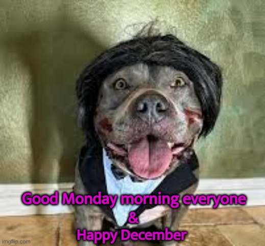 monday | Good Monday morning everyone; &
Happy December | made w/ Imgflip meme maker