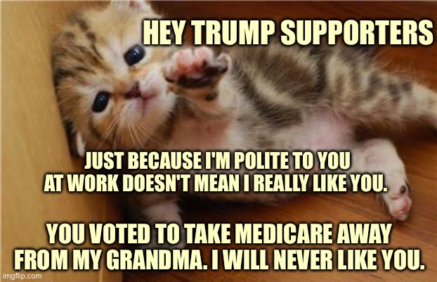 Reminder to trump supporters after Thanksgiving weekend | HEY TRUMP SUPPORTERS; JUST BECAUSE I'M POLITE TO YOU AT WORK DOESN'T MEAN I REALLY LIKE YOU. YOU VOTED TO TAKE MEDICARE AWAY FROM MY GRANDMA. I WILL NEVER LIKE YOU. | image tagged in help me kitten | made w/ Imgflip meme maker