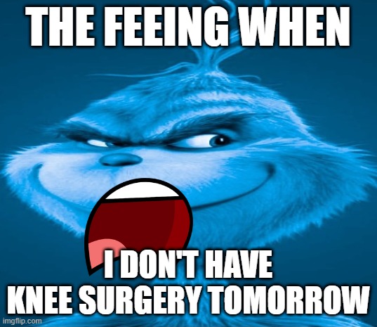 Blue Grinch | THE FEEING WHEN; I DON'T HAVE KNEE SURGERY TOMORROW | image tagged in blue grinch | made w/ Imgflip meme maker