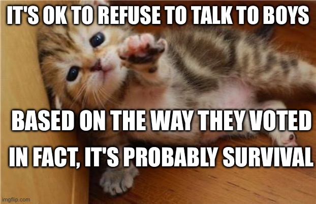 Help me kitten doesn't talk to boys anymore | IT'S OK TO REFUSE TO TALK TO BOYS; BASED ON THE WAY THEY VOTED; IN FACT, IT'S PROBABLY SURVIVAL | image tagged in help me kitten | made w/ Imgflip meme maker