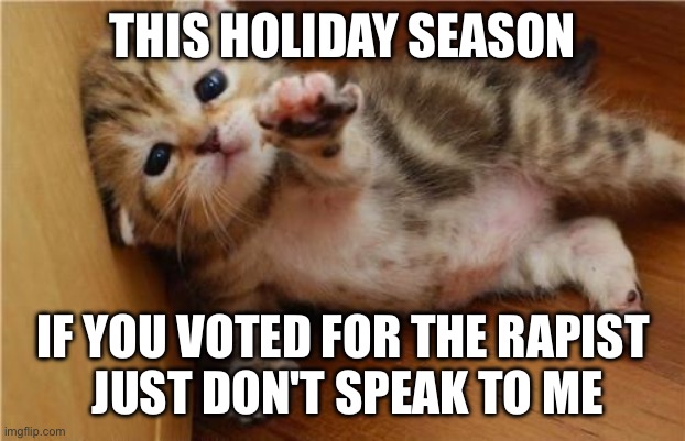 Help me kitten doesn't like maga | THIS HOLIDAY SEASON; IF YOU VOTED FOR THE RAPIST
 JUST DON'T SPEAK TO ME | image tagged in help me kitten | made w/ Imgflip meme maker