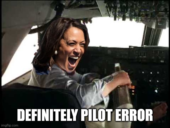 drunk pilot | DEFINITELY PILOT ERROR | image tagged in drunk pilot | made w/ Imgflip meme maker