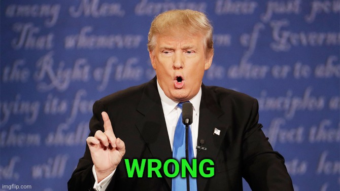 Donald Trump Wrong | WRONG | image tagged in donald trump wrong | made w/ Imgflip meme maker