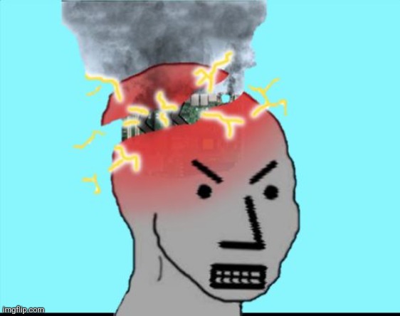 NPC Meltdown | image tagged in npc meltdown | made w/ Imgflip meme maker