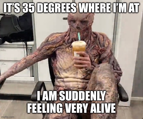 Vecna Chilling | IT’S 35 DEGREES WHERE I’M AT; I AM SUDDENLY FEELING VERY ALIVE | image tagged in vecna chilling | made w/ Imgflip meme maker