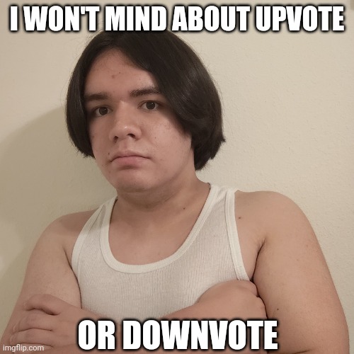 I WON'T MIND ABOUT UPVOTE OR DOWNVOTE | image tagged in stepheno | made w/ Imgflip meme maker