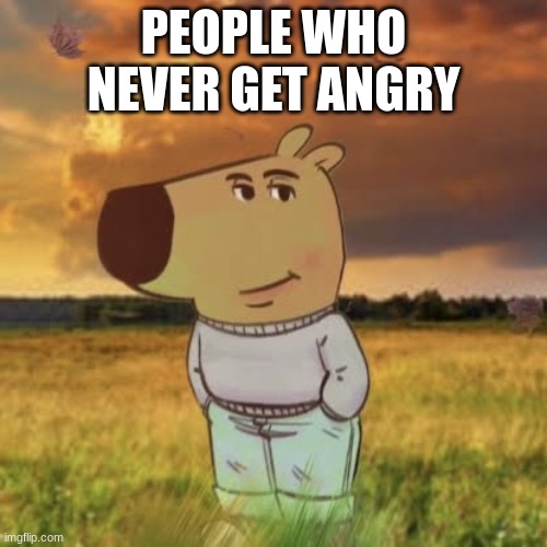 Doesn't get angry | PEOPLE WHO NEVER GET ANGRY | image tagged in chill guy | made w/ Imgflip meme maker