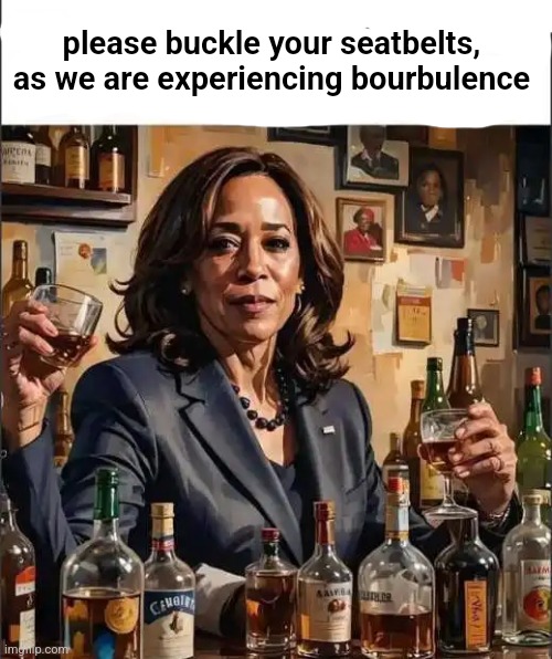 Kamala Unburdened | please buckle your seatbelts, as we are experiencing bourbulence | image tagged in kamala unburdened | made w/ Imgflip meme maker