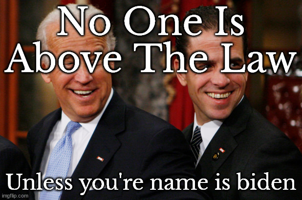 No one is above the law | No One Is Above The Law; Unless you're name is biden | image tagged in hunter biden crack head | made w/ Imgflip meme maker