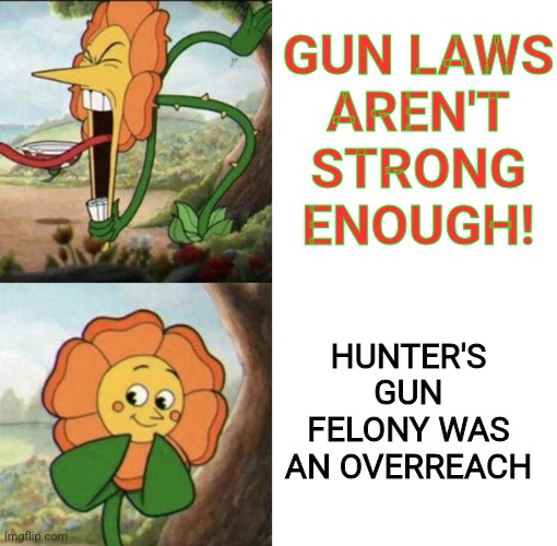 rules for thee | GUN LAWS
AREN'T
STRONG
ENOUGH! HUNTER'S GUN FELONY WAS AN OVERREACH | image tagged in hypocrisy | made w/ Imgflip meme maker