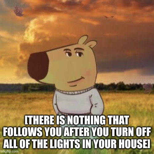 Chill guy | [THERE IS NOTHING THAT FOLLOWS YOU AFTER YOU TURN OFF ALL OF THE LIGHTS IN YOUR HOUSE] | image tagged in chill guy | made w/ Imgflip meme maker