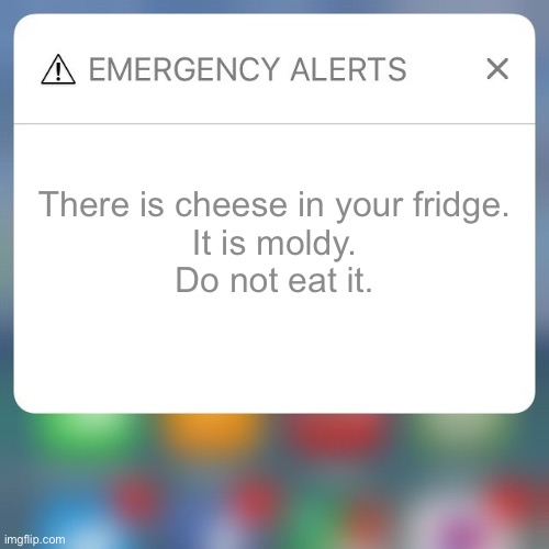 Idk bru | There is cheese in your fridge.
It is moldy.
Do not eat it. | image tagged in emergency alert | made w/ Imgflip meme maker