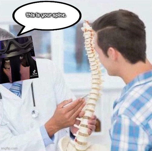 (then someone comment "wtf put it back") | this is your spine. | image tagged in spine doctor | made w/ Imgflip meme maker
