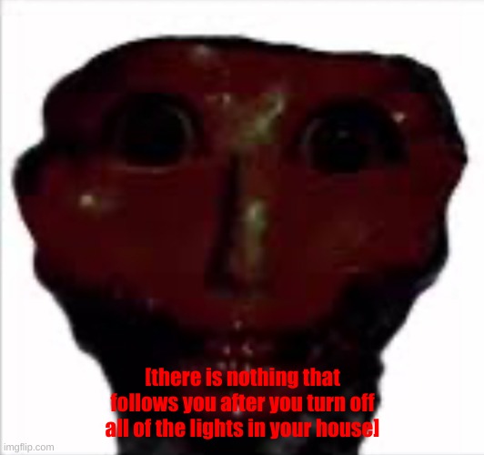 There is nothing-Me after taking a pic | [there is nothing that follows you after you turn off all of the lights in your house] | image tagged in there is nothing-me after taking a pic | made w/ Imgflip meme maker