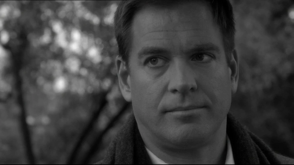 anthony dinozzo Blank Meme Template