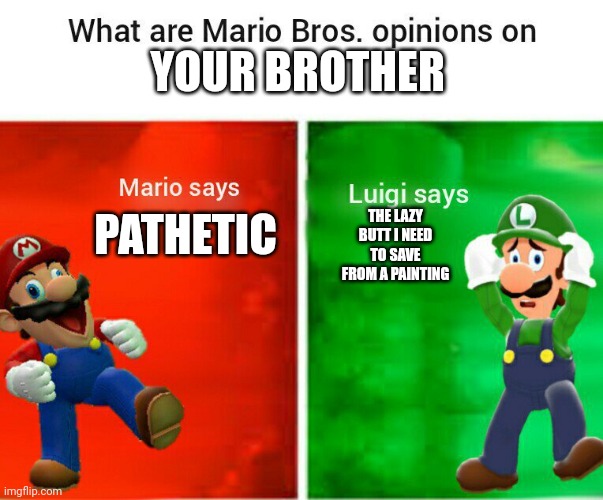 smg4 mario says luigi says | YOUR BROTHER; PATHETIC; THE LAZY BUTT I NEED TO SAVE FROM A PAINTING | image tagged in smg4 mario says luigi says | made w/ Imgflip meme maker