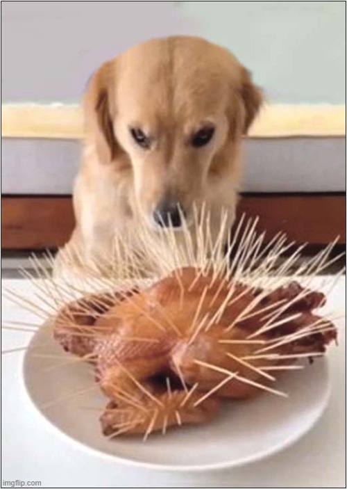 There's A Distinct Lack Of Trust Here ! | image tagged in dogs,chicken,spikes,trust issues | made w/ Imgflip meme maker