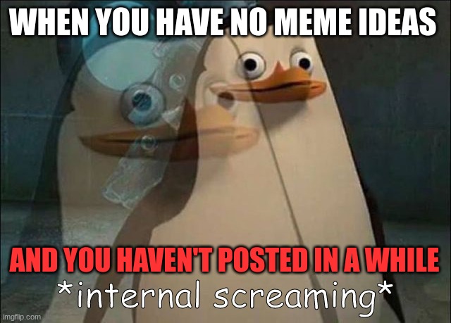 Private Internal Screaming | WHEN YOU HAVE NO MEME IDEAS; AND YOU HAVEN'T POSTED IN A WHILE | image tagged in private internal screaming | made w/ Imgflip meme maker