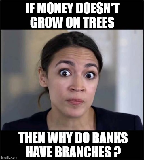 A Financial Question ! | IF MONEY DOESN'T
GROW ON TREES; THEN WHY DO BANKS
HAVE BRANCHES ? | image tagged in sayings,finance,money tree,banks | made w/ Imgflip meme maker