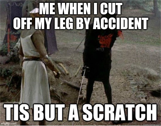 tis but a scratch | ME WHEN I CUT OFF MY LEG BY ACCIDENT | image tagged in tis but a scratch | made w/ Imgflip meme maker