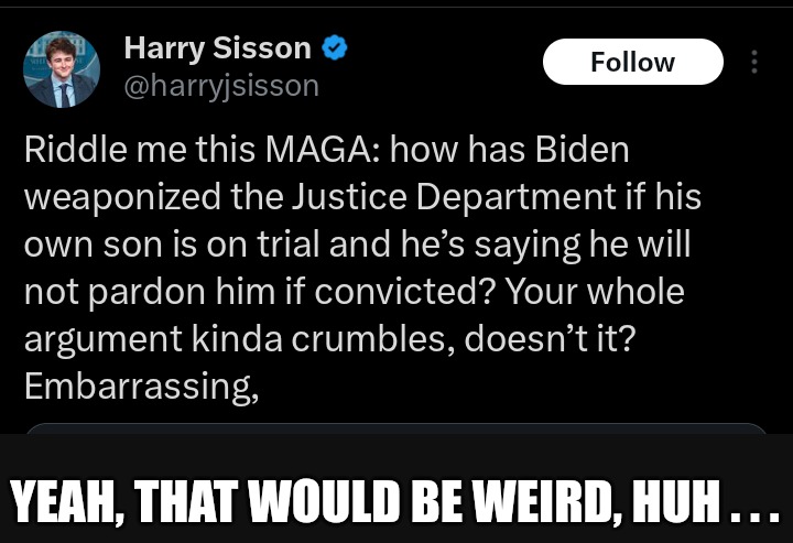 Joe Biden lied, the Democrats lied, their supporters lied . . . . | YEAH, THAT WOULD BE WEIRD, HUH . . . | image tagged in hunter biden,joe biden,criminals,liars | made w/ Imgflip meme maker