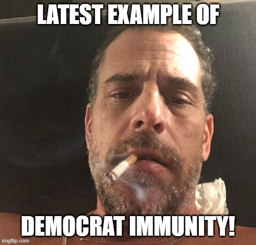 Hunter Biden | LATEST EXAMPLE OF; DEMOCRAT IMMUNITY! | image tagged in hunter biden | made w/ Imgflip meme maker