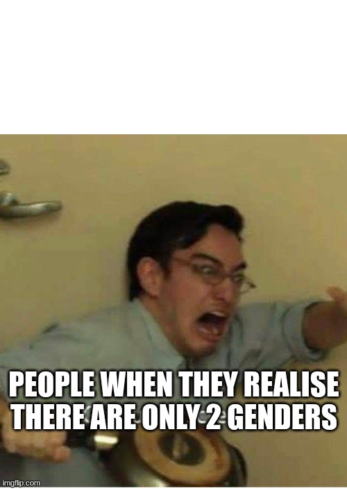 confused screaming | PEOPLE WHEN THEY REALISE THERE ARE ONLY 2 GENDERS | image tagged in confused screaming | made w/ Imgflip meme maker