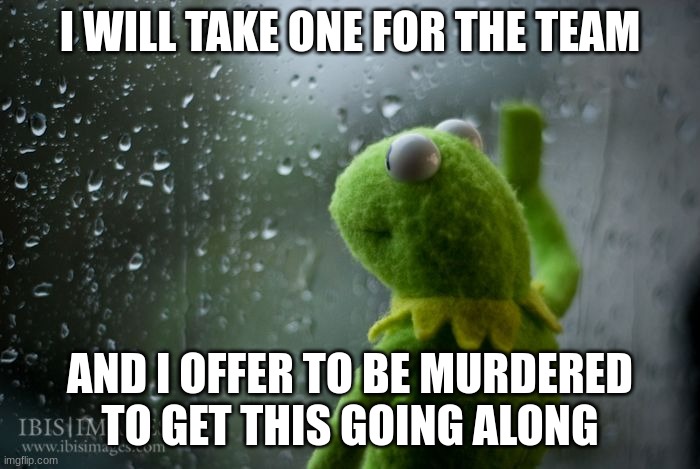 R.I.P Me- | I WILL TAKE ONE FOR THE TEAM; AND I OFFER TO BE MURDERED TO GET THIS GOING ALONG | image tagged in kermit window | made w/ Imgflip meme maker