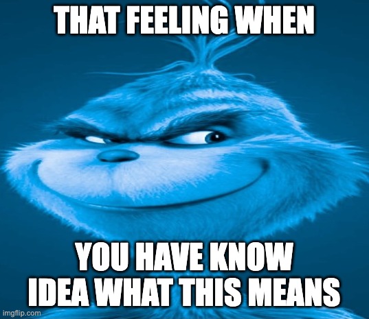 Blue Grinch | THAT FEELING WHEN; YOU HAVE KNOW IDEA WHAT THIS MEANS | image tagged in blue grinch | made w/ Imgflip meme maker