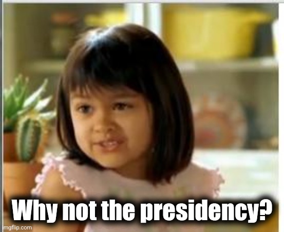 Why not both | Why not the presidency? | image tagged in why not both | made w/ Imgflip meme maker