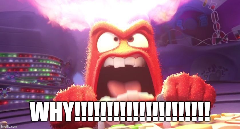 Inside Out Anger | WHY!!!!!!!!!!!!!!!!!!!!! | image tagged in inside out anger | made w/ Imgflip meme maker