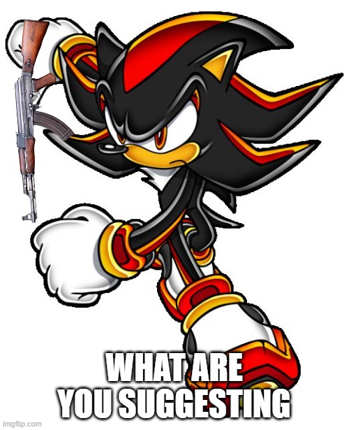 Shadow the hedgehog | WHAT ARE YOU SUGGESTING | image tagged in shadow the hedgehog | made w/ Imgflip meme maker