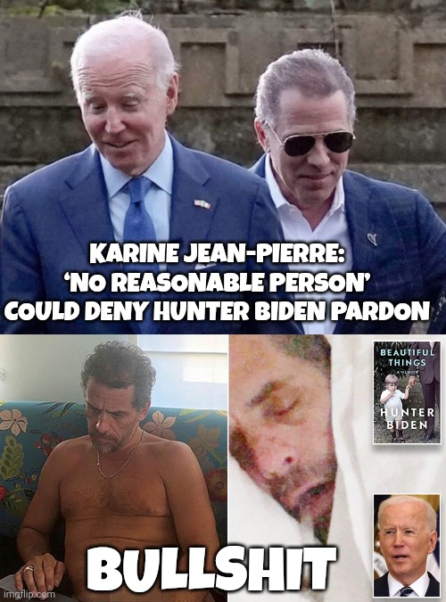 Hunter biden meme | KARINE JEAN-PIERRE: ‘NO REASONABLE PERSON’ COULD DENY HUNTER BIDEN PARDON; BULLSHIT | image tagged in joe biden | made w/ Imgflip meme maker