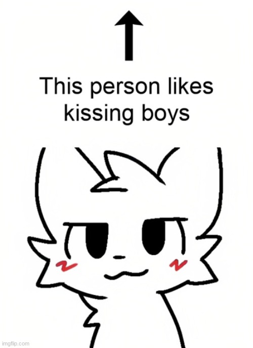 boykisser ^ | image tagged in the person above likes kissing boys | made w/ Imgflip meme maker