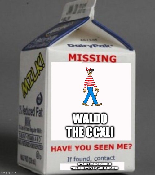 Milk carton | WALDO THE CCXLI; MY OTHER LOST ASSOCIATES IF YOU CAN FIND THEM TOO -WALDO THE CCXLI | image tagged in milk carton,memes | made w/ Imgflip meme maker