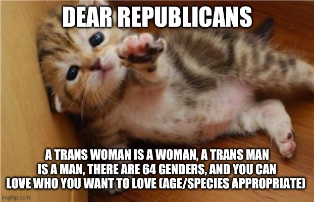 hate is not the way. | DEAR REPUBLICANS; A TRANS WOMAN IS A WOMAN, A TRANS MAN IS A MAN, THERE ARE 64 GENDERS, AND YOU CAN LOVE WHO YOU WANT TO LOVE (AGE/SPECIES APPROPRIATE) | image tagged in stop the hate,respect people | made w/ Imgflip meme maker