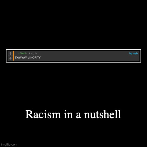 I'm not comment banned btw | Racism in a nutshell | | image tagged in funny,demotivationals | made w/ Imgflip demotivational maker